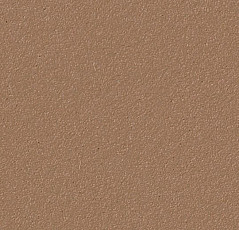 Линолеум Forbo Bulletin Board 2166 nutmeg spice фото 1 | FLOORDEALER